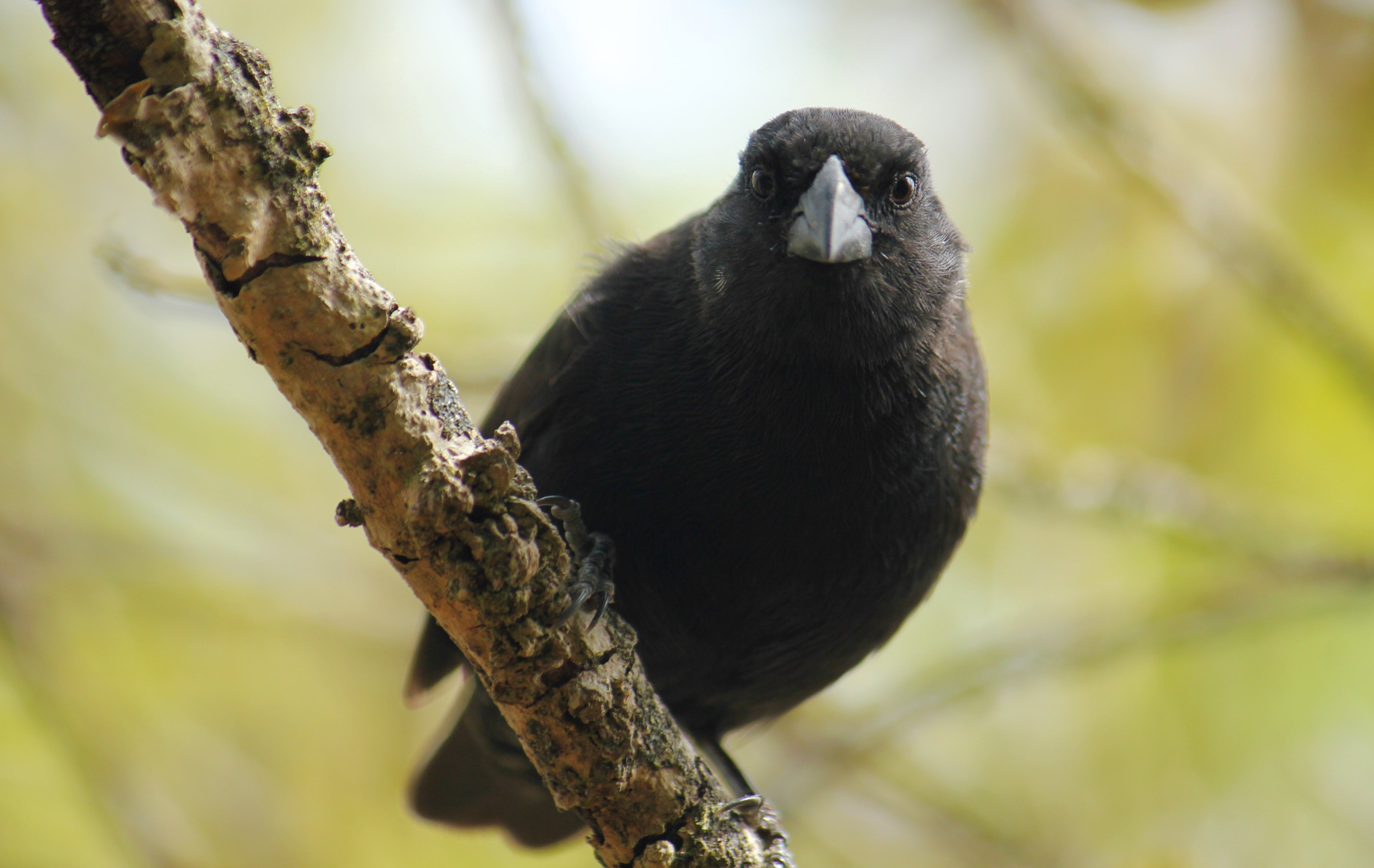 Pinzon Galapagos Travel Just 4U