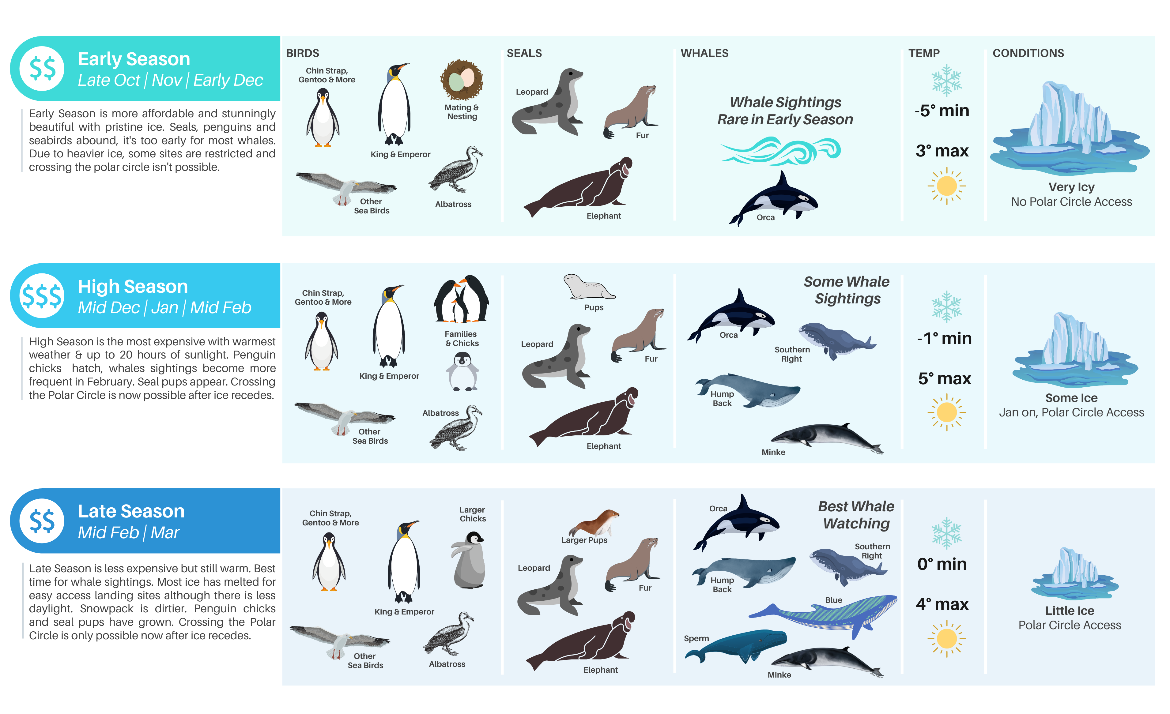 chart of animals in antarctica